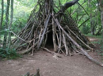 Excursión Senderismo Orcines - Boucle Puy de Pariou - Photo