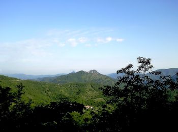 Tocht Te voet Propata - Crocefieschi - Monte Antola - Photo