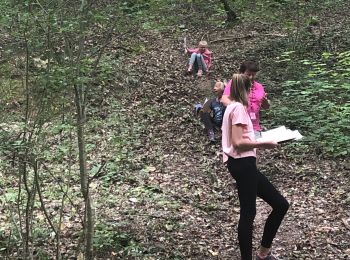 Randonnée Marche Bouilly - Rando Thierry forêt Bouilly le 19.07.19 - Photo