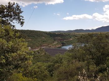 Excursión Marcha nórdica Celles - Les Vailhés - Lac du Salagou - Plateau de l'Auverne 15 km - Photo