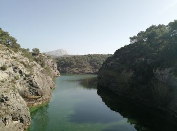 Excursión Senderismo Le Tholonet - Le Tholonet, barrage zola, barrage bimont, barrage romain - Photo