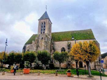 Tour Wandern Fontaine-le-Port - Boucle 25 KM depuis Fontaine le port - Photo