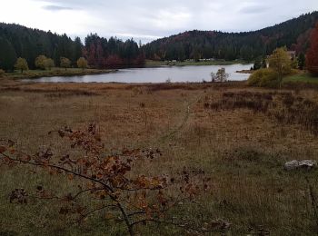 Randonnée Marche Oyonnax - le lac genin par la pointe de bier  - Photo