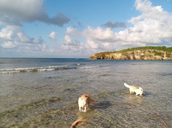 Randonnée Marche Saint-François - Anse des Rochers - Pointe du Vent - Photo