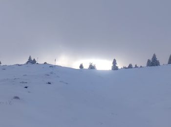 Excursión Raquetas de nieve Aillon-le-Jeune - Rando raquettes Bauges 1 - Photo