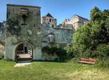 Tocht Te voet Gemeinde Seebenstein - Seebenstein - Weingart über Burg Seebenstein - Photo