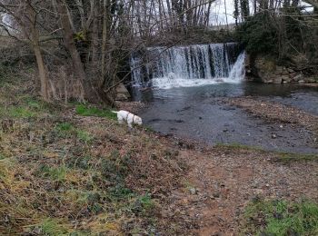 Randonnée Marche La Chapelle-de-Guinchay - cascade - Photo