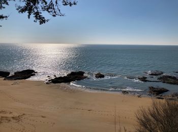 Tocht Stappen La Plaine-sur-Mer - La plaine sur Mer - Pornic - Photo