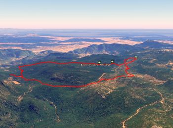 Tocht Stappen Solliès-Toucas - Morières : la Garoute et la Baume des Lumes - Photo