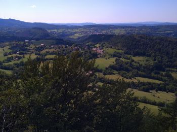 Trail Walking Choux - Choux Belvédère du Cuchet - Photo