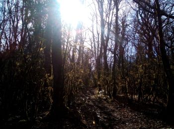 Trail Walking Larnod - LARNODS - Photo