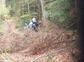 Randonnée Moto Issoire - Monboisier/vernet la varenne - Photo