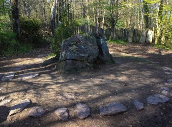 Tour Zu Fuß Saint-Malon-sur-Mel - A la mémoire de Merlin - Photo