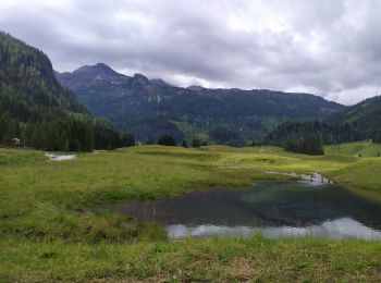 Randonnée Marche Untertauern - Joahness - Photo