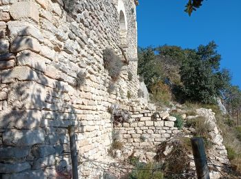 Tour Wandern Beaumes-de-Venise - notre dame d aubune - Photo