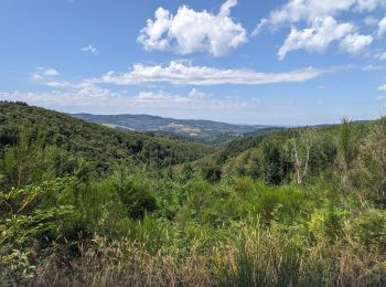 Tocht Stappen La Chabanne - périasse boucle 7 km - Photo