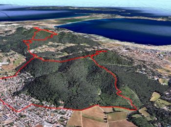 Tocht Stappen La Crau - Le Paradis et le mont des oiseaux - Photo