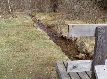 Randonnée V.T.T. Butgenbach - Vennbahn-Croix des Fagnes-Fagnes de Cléfaye-Etang de Schwarzbach - Photo