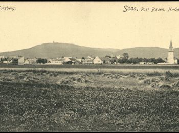 Tocht Te voet Gemeinde Sooß - Raiffeisen Trail (Sooss) - Photo