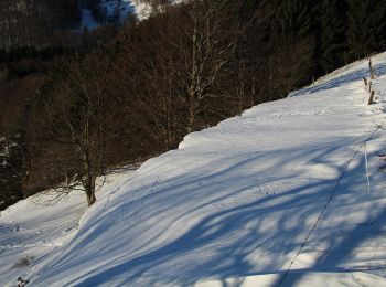 Tour Zu Fuß Gersfeld - Rhön-Rundweg 4 Wasserkuppe - Photo