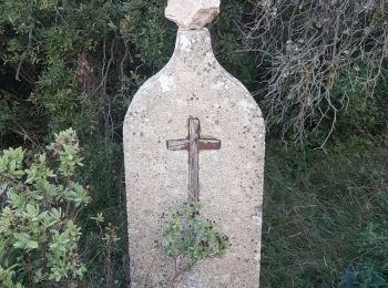 Tocht Stappen Valliguières - Valliguieres Luc - Photo