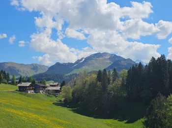 Randonnée V.T.T. Le Grand-Bornand - découverte du Chinaillon II - Photo