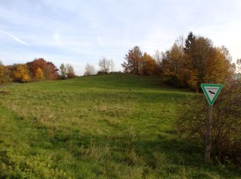 Tocht Te voet Schlüchtern - Hutten - Rundwanderweg Eichblatt - Photo