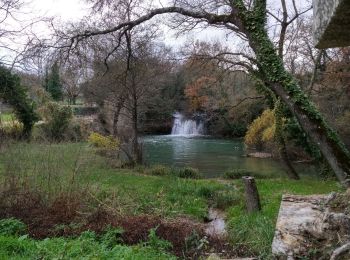 Tocht Stappen Bras - Chutes du tombereau - Photo