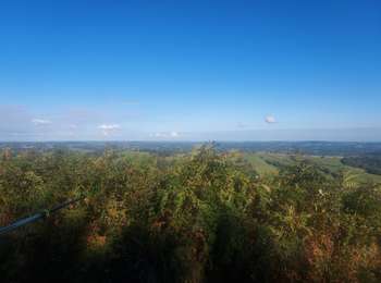 Excursión Senderismo Itxassou - Itxassou LAXIA  G3 2025 - Photo