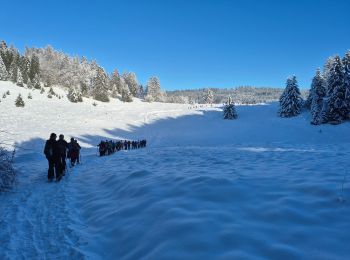 Excursión Raquetas de nieve Haut Valromey - la cua - Photo