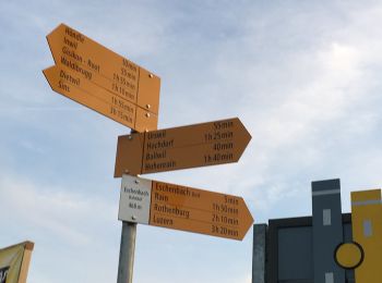 Trail On foot Eschenbach (LU) - Urswil - Eschenbach - Photo