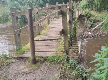 Randonnée Marche Saint-Philbert-sur-Orne - La roche d'oëtre - Le cul du Rouvre - Photo