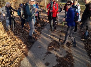 Trail Walking Ménoire - menoir 2 - Photo