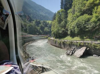 Randonnée A pied Goldegg - Drei-Buchenrundweg - Photo