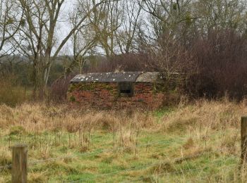 Tocht Te voet Reigate and Banstead - Mills & Pillboxes walk (SCC) - Photo