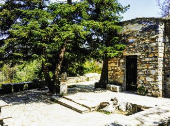 Randonnée A pied  - Φυλή - Σκίπιζα - Μαλακάσα - Photo