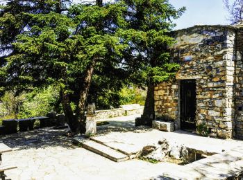 Trail On foot  - Φυλή - Σκίπιζα - Μαλακάσα - Photo