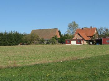 Tocht Te voet Pyrbaum - Pyrbaum Wanderweg No.3 - Photo