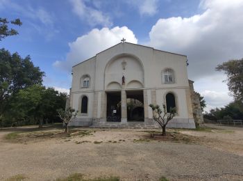 Excursión Senderismo Pignans - Notre dame des anges - Pignans - Photo