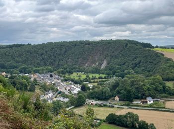 Trail Walking Saint-Léonard-des-Bois - Mancelle - Photo