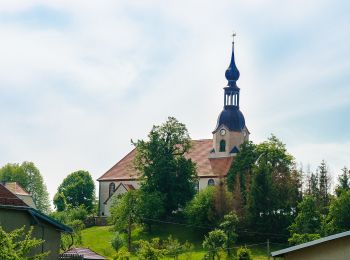 Percorso A piedi Colditz - Heimatweg 