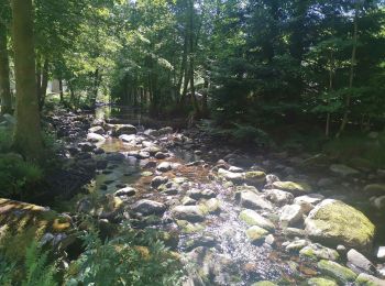 Randonnée Marche Rochesson - ROCHESSON ... les cascades du Bouchot.  - Photo