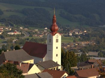 Trail On foot Friedberg - Friedberg - Dechantskirchen - Photo