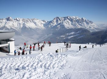 Excursión A pie Maria Alm am Steinernen Meer - Wanderweg 28c - Photo