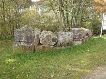 Randonnée A pied Jünkerath - Bisselbachtal - Photo