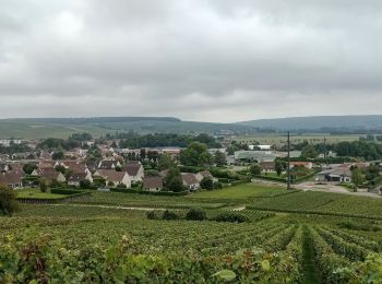 Excursión Senderismo Crouttes-sur-Marne - Crouttes-sur-Marne du 26-09-2021 - Photo