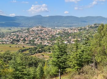 Excursión Senderismo Pierrefeu-du-Var - Pierrefeu du var - les Baisses - Photo