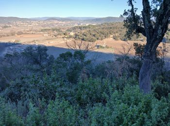 Tocht Stappen Les Arcs-sur-Argens - La colline de Cabredor les Arcs sur Argens, 17-01-2025 - Photo