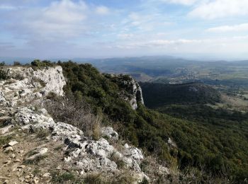 Excursión Senderismo Saint-Remèze - la dent de rez - Photo