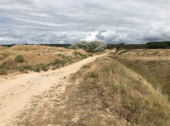 Tour Wandern Barneville-Carteret - Barneville-Carteret - Bretteville-sur-Ay - Photo